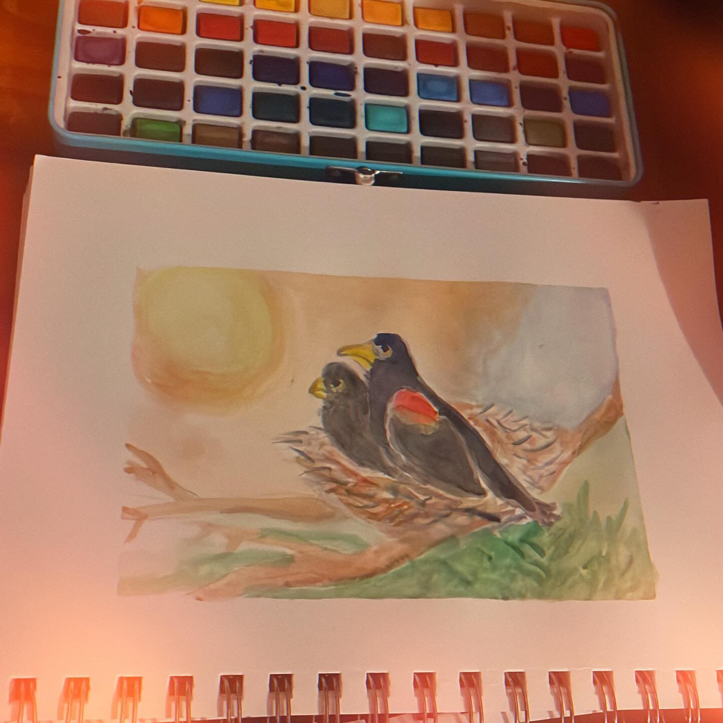 Birds Watercolor